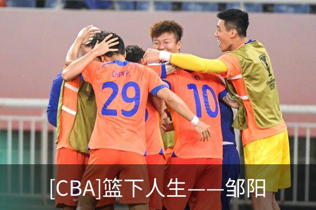 [CBA]篮下人生——邹阳